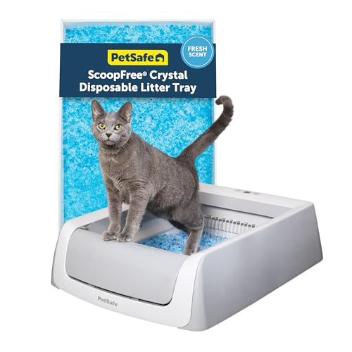 PetSafe ScoopFree Self-Cleaning Cat Litterbox - Never Scoop Litter Again - Hands-Free Cleanup with Disposable Crystal Tray - Less Tracking, Better Odor Control - Includes Disposable Tray
