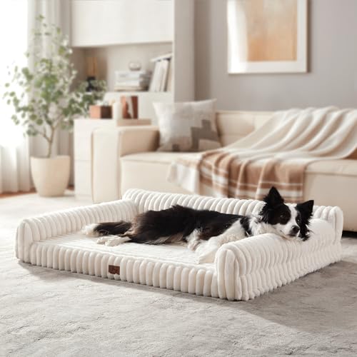 Warmrest Orthopedic Dog Bed Large Pet Beds with Removable Washable Cover, Couch-Like Sofa Design for S to XXL Dogs Up to 50 lbs, with Soft Short Plush Surface & Foam, 35x25x9.5 Inch, Cream