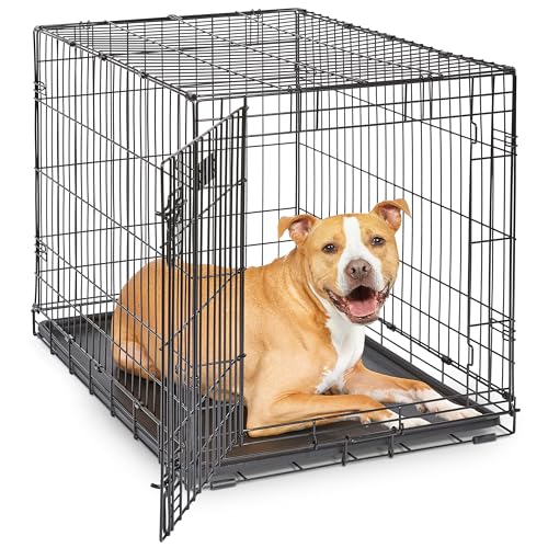 MidWest Homes for Pets MidWest Homes for Pets 36-Inch iCrate for Mediu — Key features at a glance