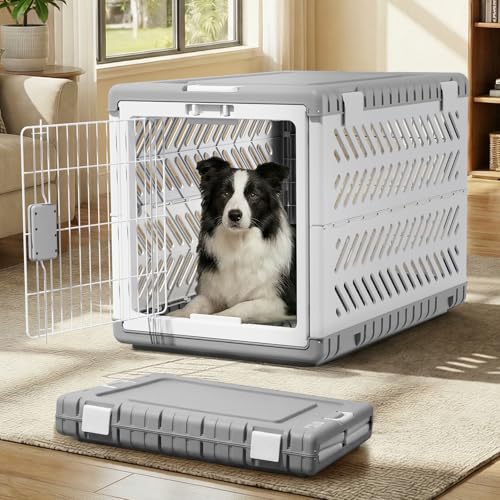 Collapsible Dog Crate for Large/Medium Dogs - 36" L Foldable Dog Cage — Build quality and design details up close