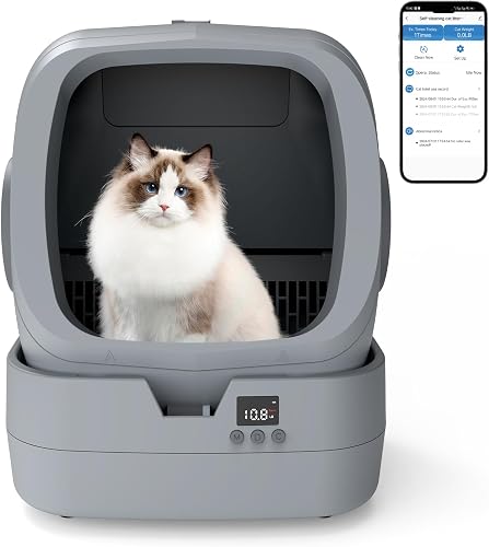 Best Cat Trees for Large Cats in 2026: Sturdy Towers That Last