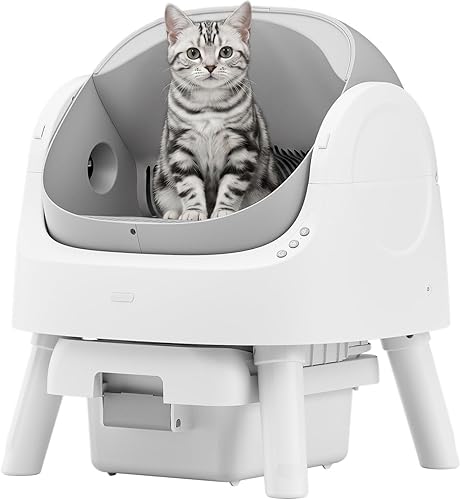 How to Get Your Cat to Use a Cat Tree: Tips That Actually Work