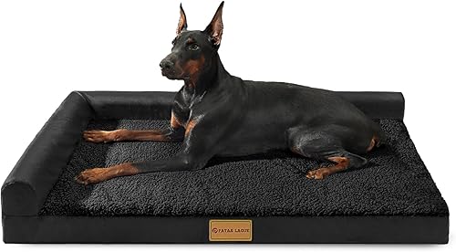 Big Barker Orthopedic Dog Bed vs Casper Dog Bed: Which Is Wo