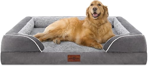 Dog Bed Buying Guide: Materials, Sizes, and Features Explain