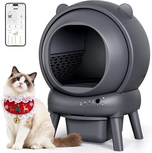 How to Clean a Litter Box the Right Way: A Complete Hygiene 
