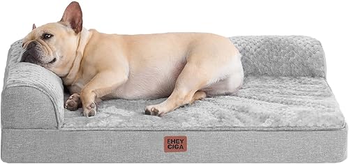 How to Crate Train a Puppy: Complete Step-by-Step Guide for 