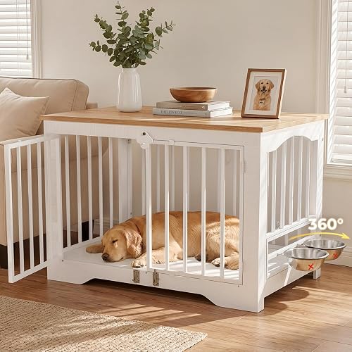 Best Orthopedic Dog Beds for Senior Dogs in 2026: Top Memory
