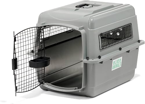 Best Outdoor Dog Kennels in 2026: Durable Pens for Backyard Use