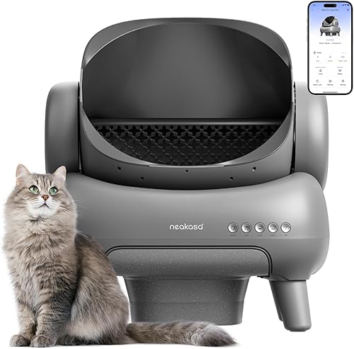 Litter Box Buying Guide: How to Pick the Right One for Your Cat