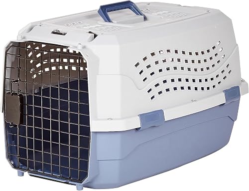 Amazon Basics Sturdy Portable 2-Door Top-Load Hard-Sided Pet Travel Ca — Real-world performance testing in action