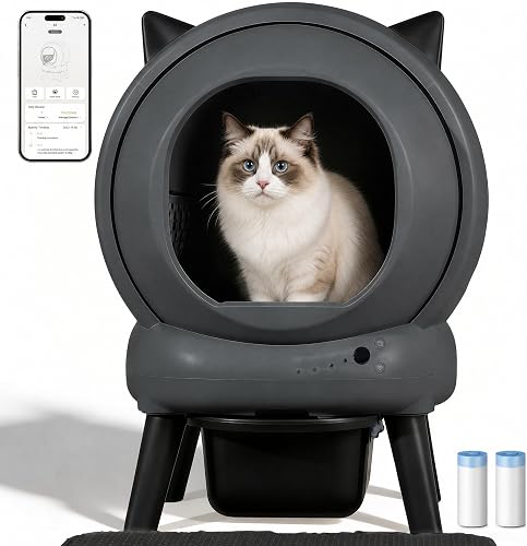 How to Clean a Litter Box the Right Way: A Complete Hygiene Guide
