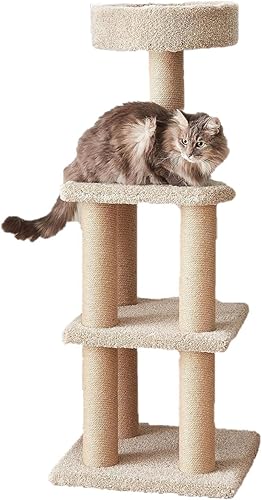 Amazon Basics Cat Tree Tower - Multi-Level Climbing Activity Center fo — Real-world performance testing in action
