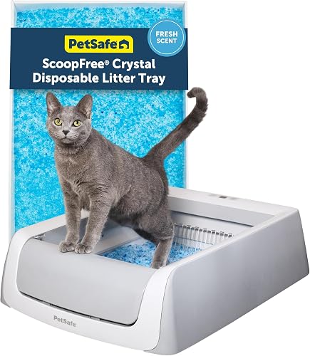 PetSafe ScoopFree Self-Cleaning Cat Litterbox - Never Scoop Litter Aga — Build quality and design details up close