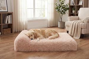 PetFun Jumbo Orthopedic Dog Bed for Large Dogs - 7-inch Thick Memory Foam Dog Bed with Pil