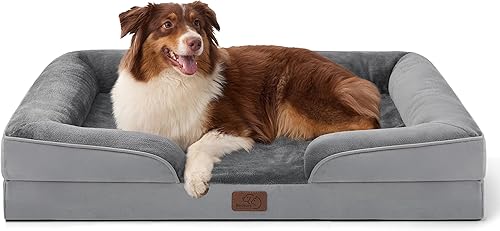 Big Barker Orthopedic Dog Bed vs Casper Dog Bed: Which Is Worth the Premium Price?
