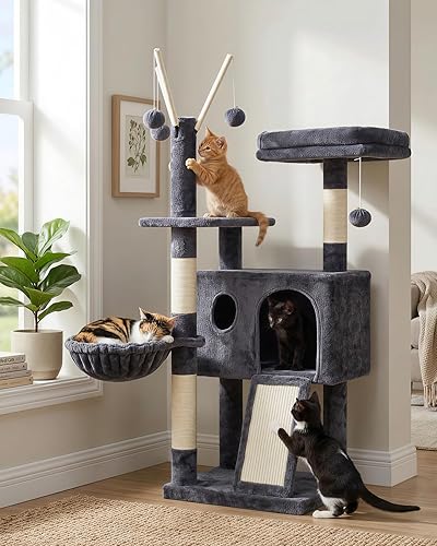 How to Train a Cat to Use a New Litter Box: The Complete 14-Day Transition Blueprint That Actually Works