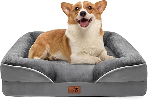 Spotted Play Orthopedic Dog Bed with Sides - Dog Sofa Beds for Medium — Real-world performance testing in action