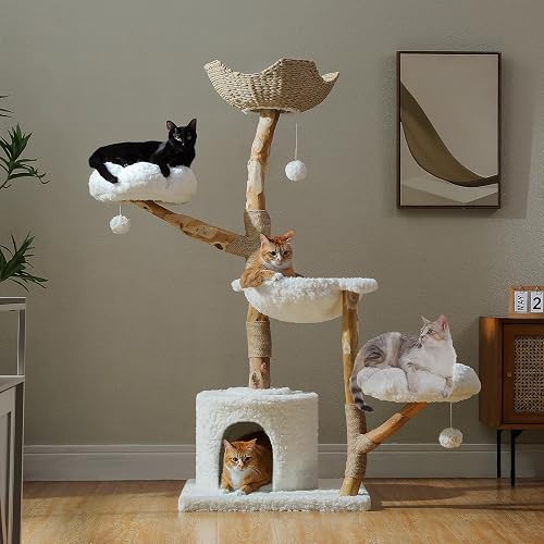 PAWZ Road Cat Tree for Indoor Cats Large Adults, 59 Inches Modern Cat — Our recommended configuration for best results