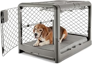 DIGGS Revol Collapsible Dog Crate with Wheels - Premium Portable Dog Crate - Safe, Stylish