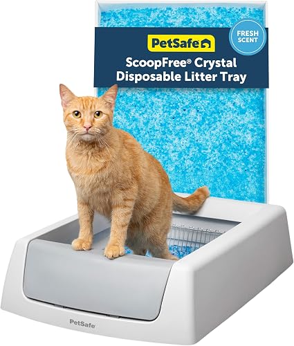 PetSafe ScoopFree Crystal Classic Self-Cleaning Litter Box System – Au — Build quality and design details up close