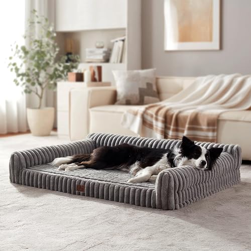 Warmrest Orthopedic Dog Bed Large Pet Beds with Removable Washable Cov — Real-world performance testing in action