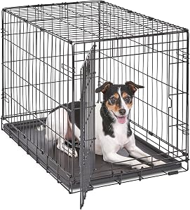 MidWest Homes for Pets 30-Inch iCrate for Medium Breeds, 21-40 lbs, Single Door Folding Do