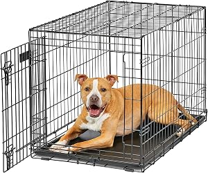 MidWest Homes for Pets Intermediate LifeStages Single Door 36-Inch Folding Dog Crate, Enha