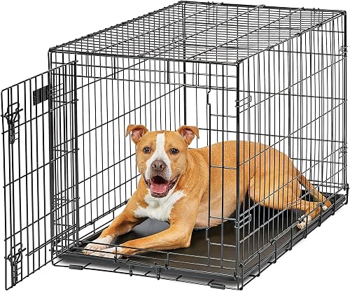 MidWest Homes for Pets Intermediate LifeStages Single Door 36-Inch Fol — Real-world performance testing in action